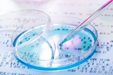 氨基酸中賴氨酸檢測方法及原理檢測含量圖3