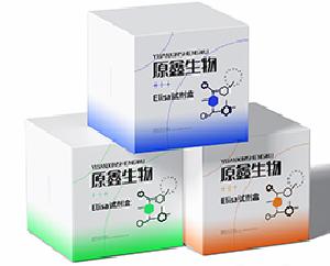 人B細(xì)胞生長因子(BCGF)試劑盒 